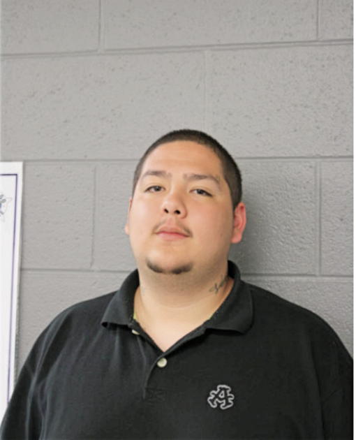 SALINAS G DAVID, Cook County, Illinois