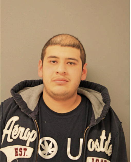 MOISES DIAZ, Cook County, Illinois