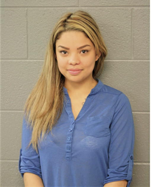 ERIKA J GALVAN, Cook County, Illinois