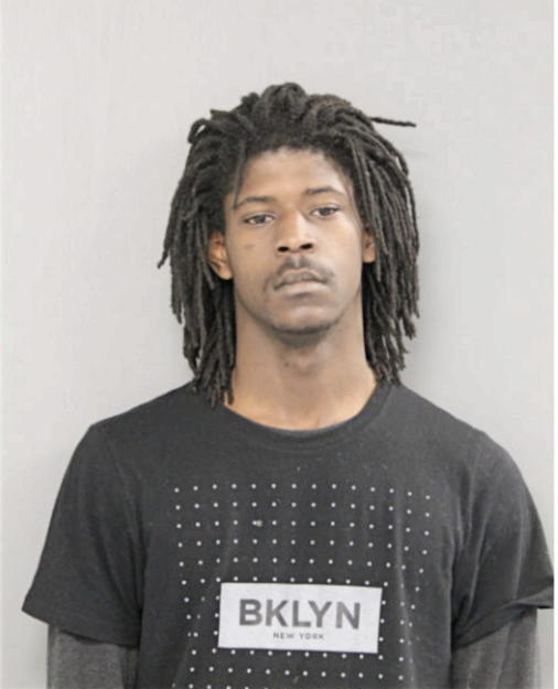 DIMITRI N HAMPTON, Cook County, Illinois