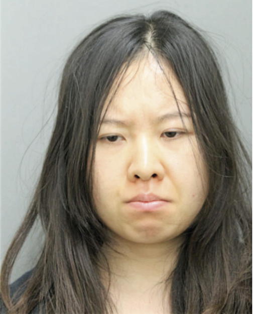 JIAFANYAO HE, Cook County, Illinois