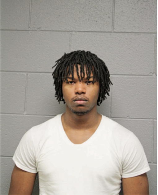 BRANDON D HILL, Cook County, Illinois
