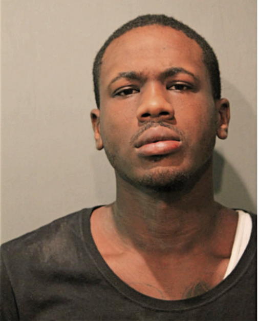 CHRISTIAN L JAMES, Cook County, Illinois