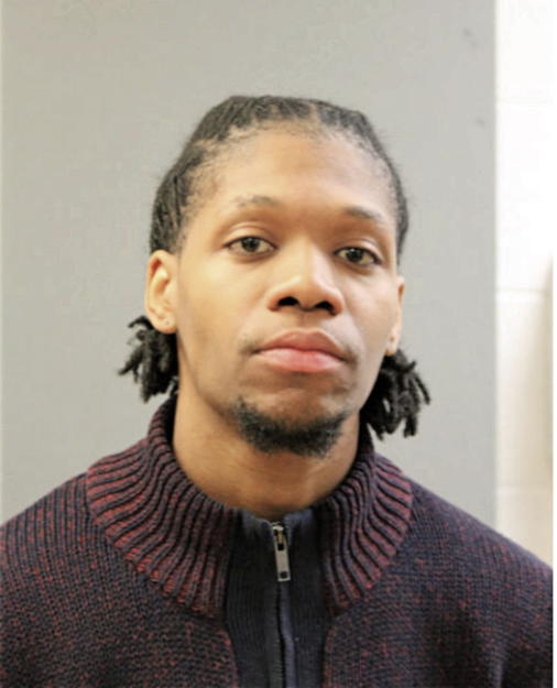 ROBERT E LEWIS, Cook County, Illinois
