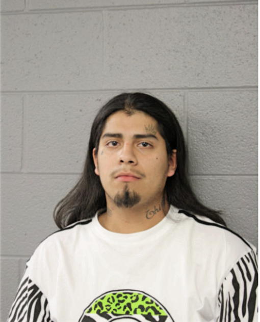 DOMINGO MENDOZA, Cook County, Illinois