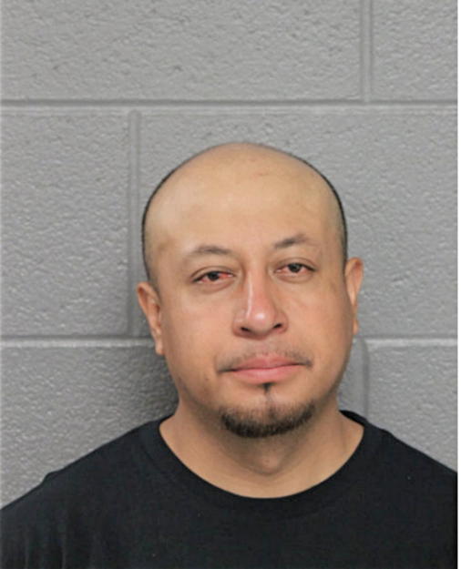 MIGUEL A MINA LAGUNAS, Cook County, Illinois