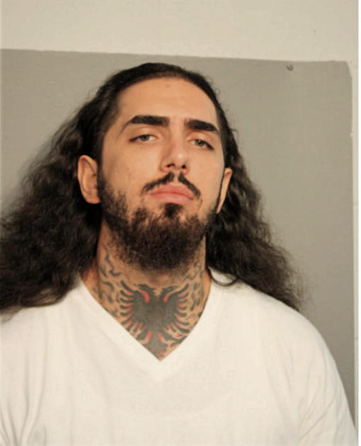 FLORIN MULOSMANI, Cook County, Illinois