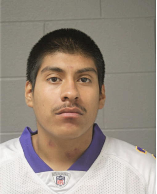 JESUS ORTEGA, Cook County, Illinois