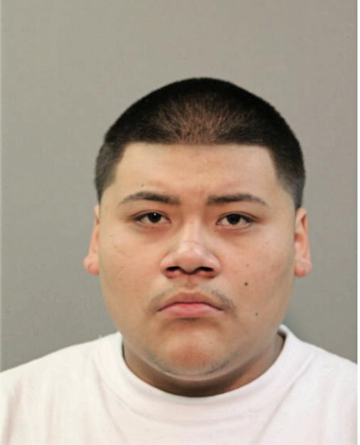 DAMIEN D REYES, Cook County, Illinois