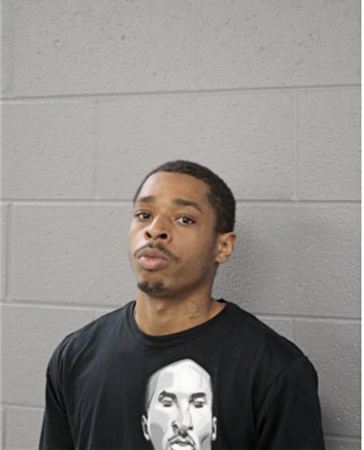DESHAWN M SHANKLIN, Cook County, Illinois