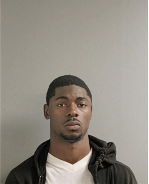 JOELL H SIMMONS, Cook County, Illinois