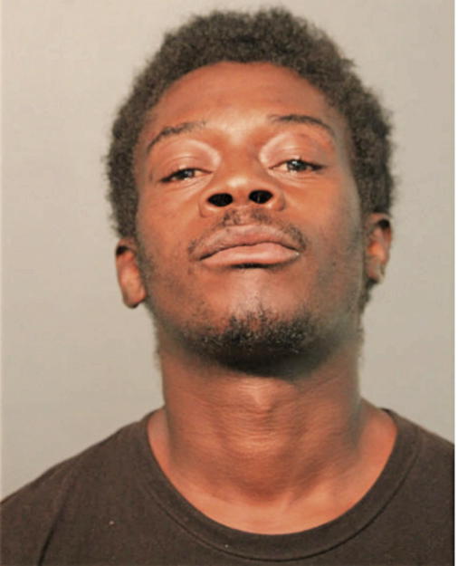 TERRENCE L SLAUGHTER, Cook County, Illinois