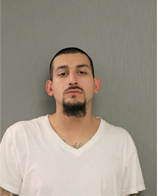ERIK A THOMPSON, Cook County, Illinois
