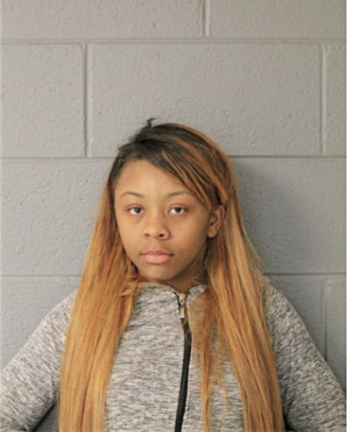 BRITTNEE J TINSLEY, Cook County, Illinois