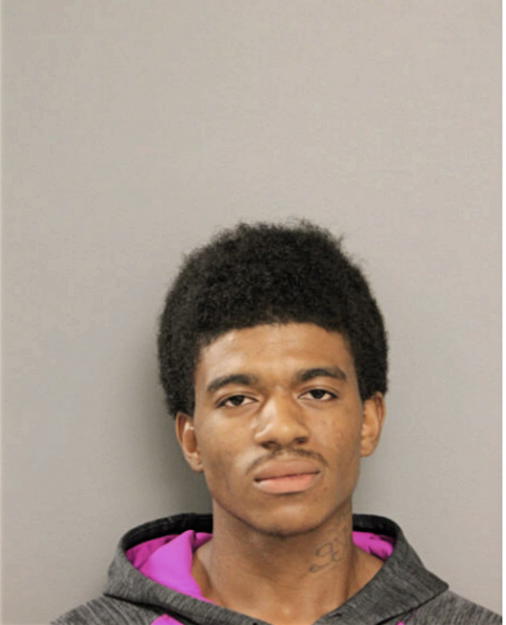 DAVID R VALENTINE, Cook County, Illinois