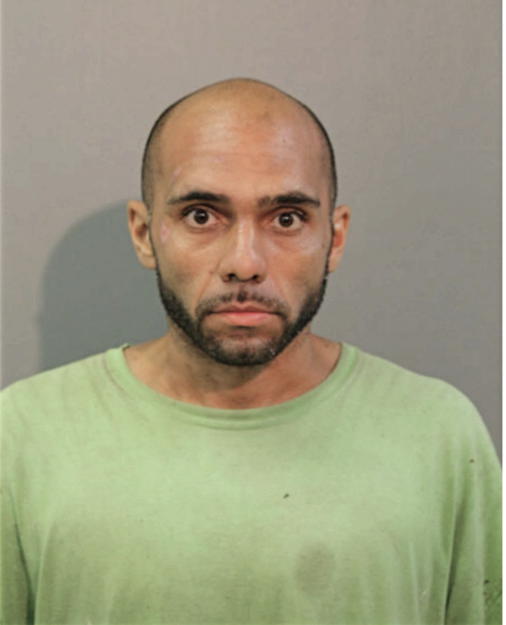 LUIS A VEGA, Cook County, Illinois