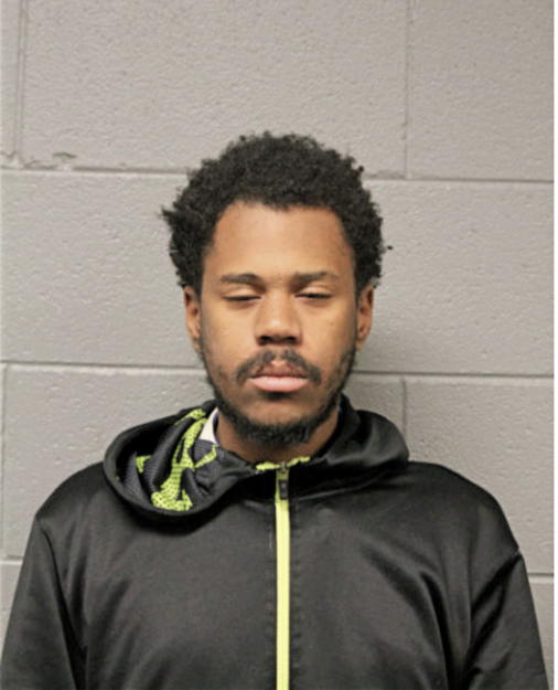 ROBERT P WARNER, Cook County, Illinois