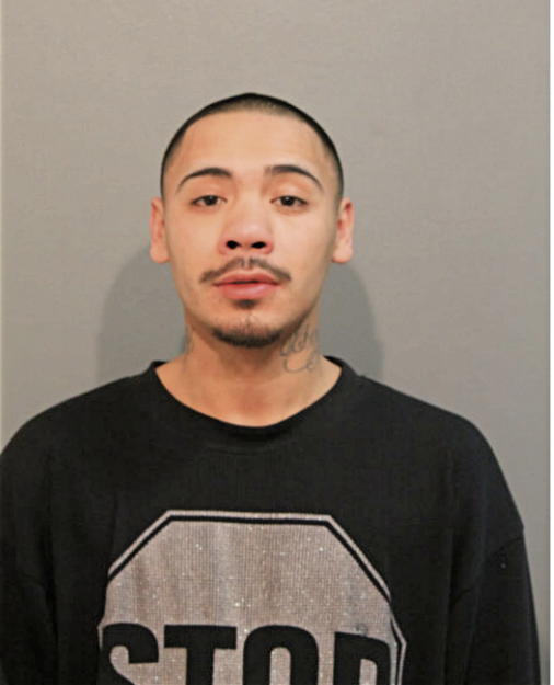 MICHAEL A RODRIQUEZ, Cook County, Illinois