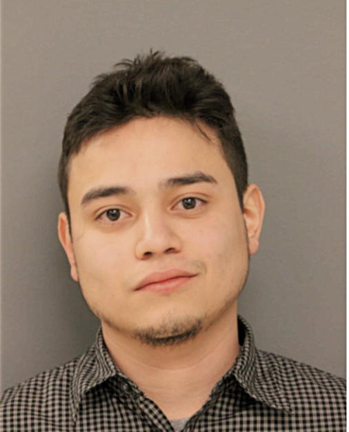 ENRIQUE L BORGES JR, Cook County, Illinois