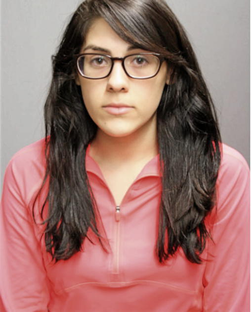 REBECCA N CAMPOS, Cook County, Illinois