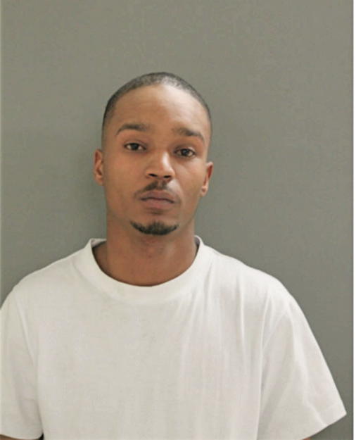 ANTHONY K D LIGHTSY, Cook County, Illinois