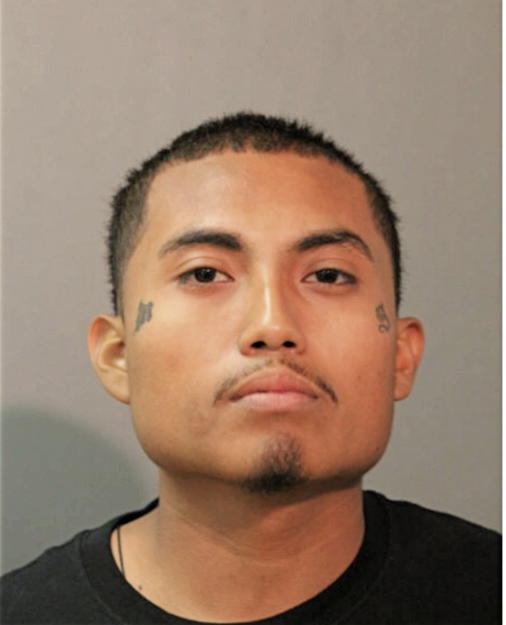 DAVID GONZALEZ, Cook County, Illinois