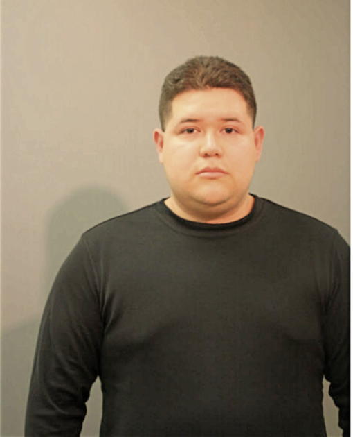 HARBY BACA GONZALEZ, Cook County, Illinois