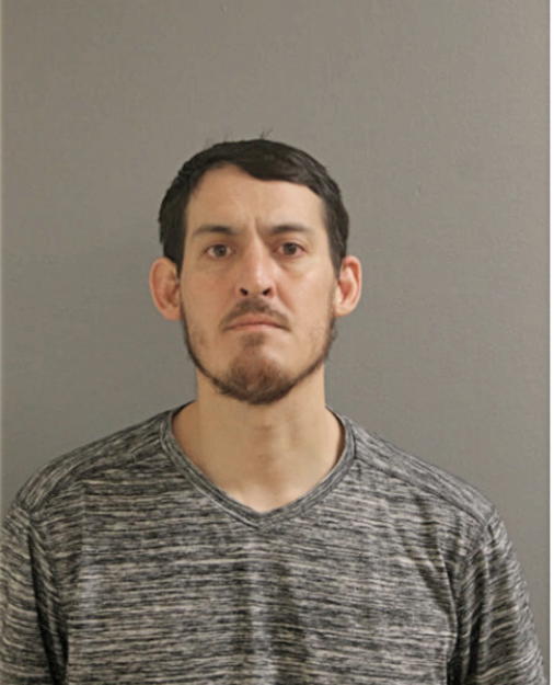 ANDREW H GRAY, Cook County, Illinois