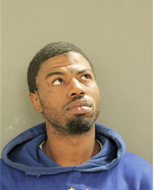 NATHANIEL C GRIGGS, Cook County, Illinois