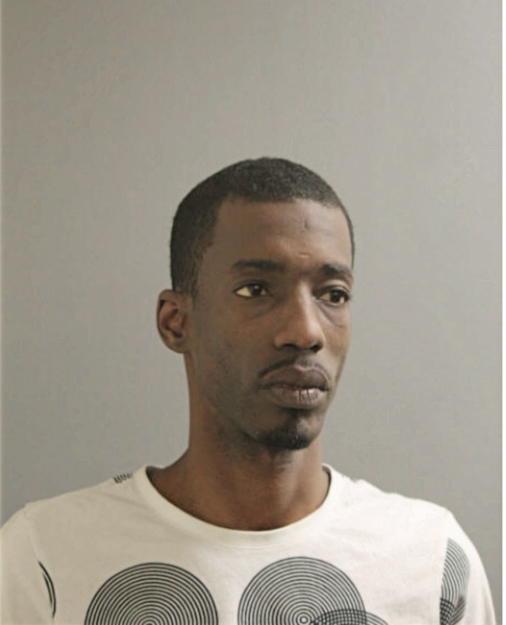 TAVARES D HAMILTON, Cook County, Illinois