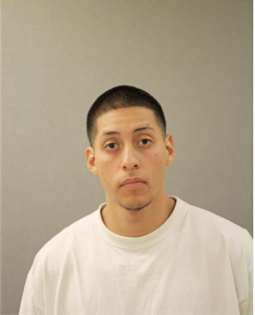 BERNARDO HERNANDEZ, Cook County, Illinois