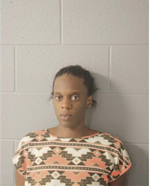 DANYEL S HOLMAN, Cook County, Illinois