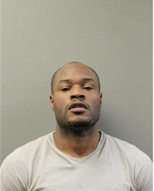 DAVID L JOHNSON, Cook County, Illinois