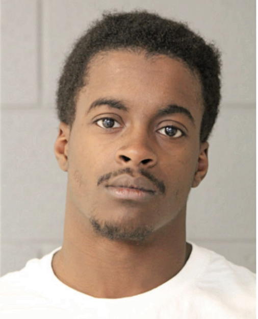 DAVID L KING, Cook County, Illinois