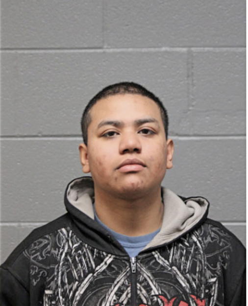 ANNETTE LEDESMA, Cook County, Illinois