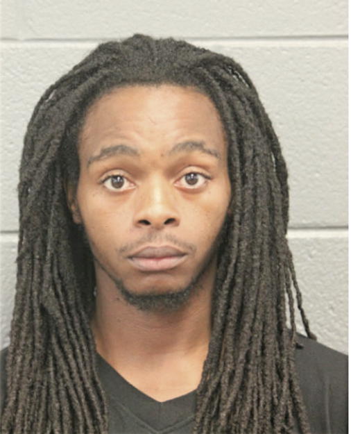 MICHAEL J LEVY, Cook County, Illinois
