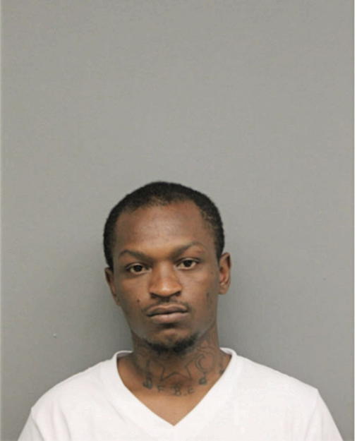 ANTRELL D LEWIS, Cook County, Illinois
