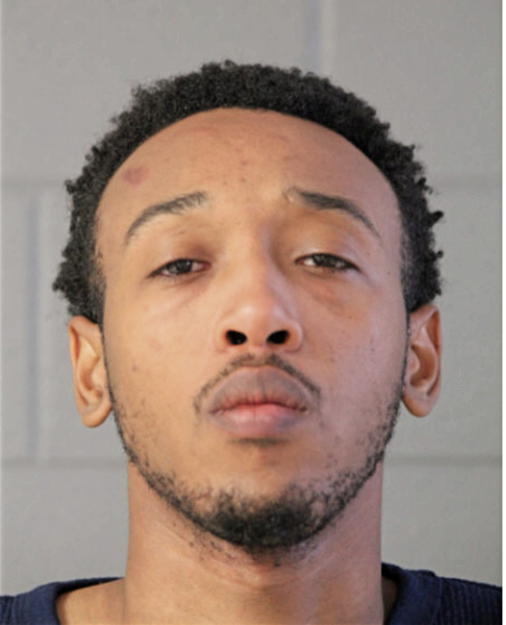 DEMARIUS M LEWIS JOHNSON, Cook County, Illinois