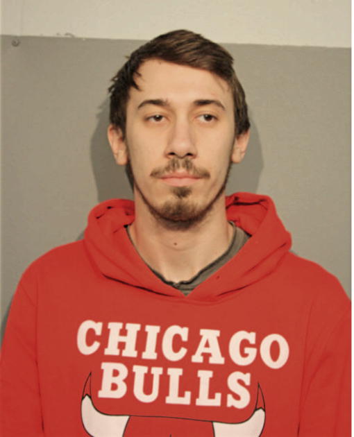 EDIN MAJDANAC, Cook County, Illinois