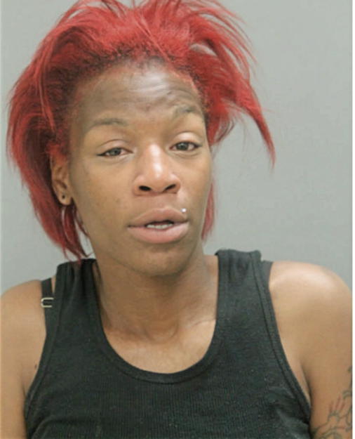 ASHLEY L MARTINEZ WILLIAMS, Cook County, Illinois