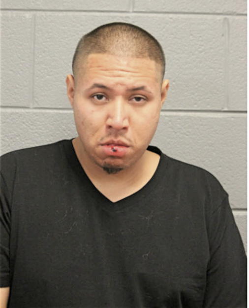 RENE MARTINEZ, Cook County, Illinois