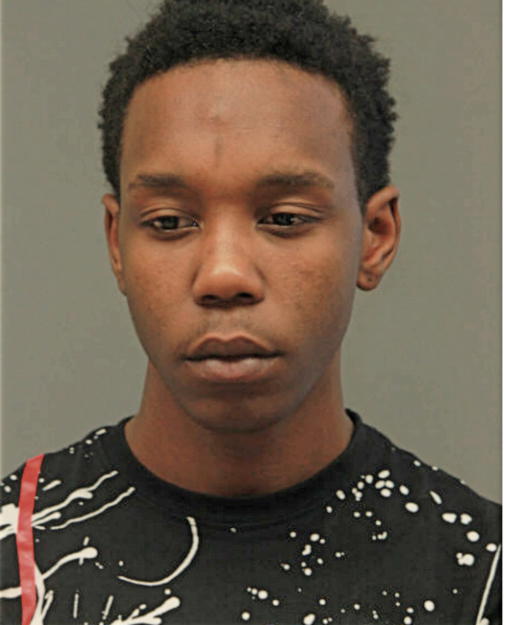 TERRANCE D MCGHEE, Cook County, Illinois