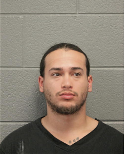 ETHAN J MUNOZ, Cook County, Illinois