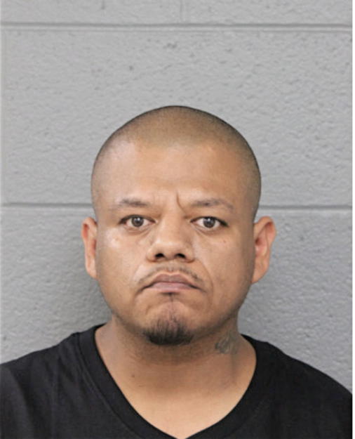 MATTHEW A REYES, Cook County, Illinois