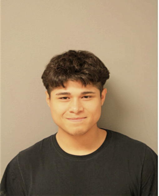 MARIO V RUEDA, Cook County, Illinois