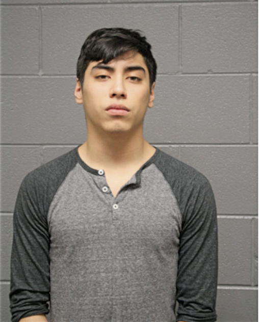 DAVID A TORRES, Cook County, Illinois