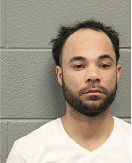 MICHAEL C UNTIEDT-JONES, Cook County, Illinois