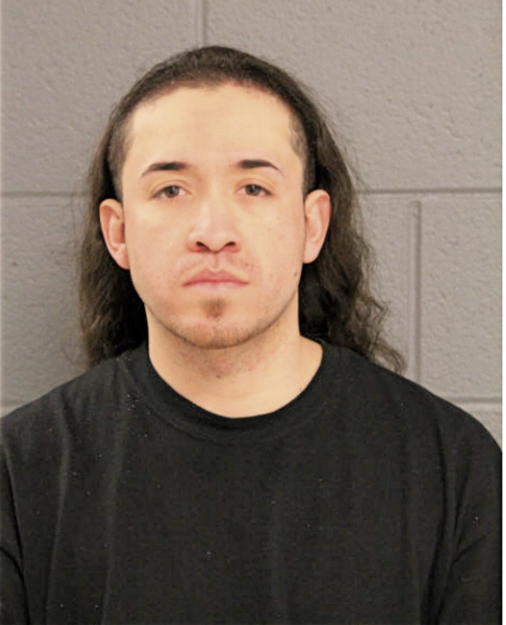 JESUS T VACA, Cook County, Illinois