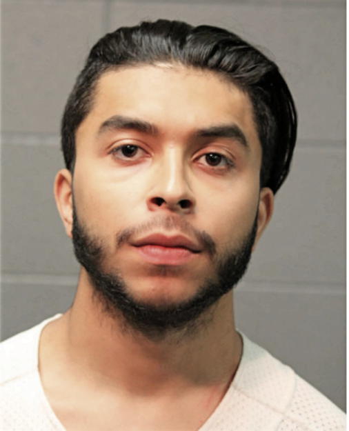 ARGENIS VILLANUEVA, Cook County, Illinois