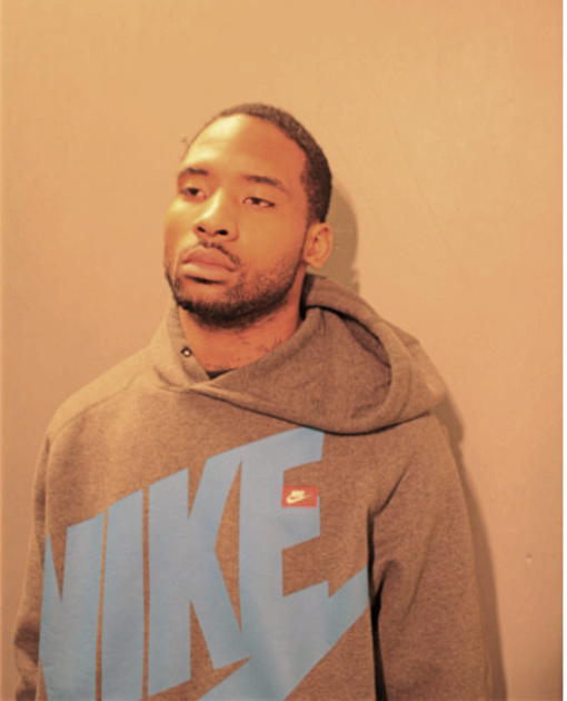 LEON C ANDERSON, Cook County, Illinois